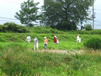 第2回河川清掃