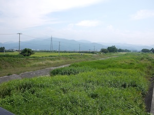 第3回河川清掃