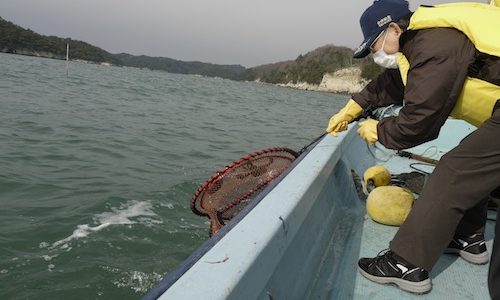 東松島震災地経済復興支援研修レポート２