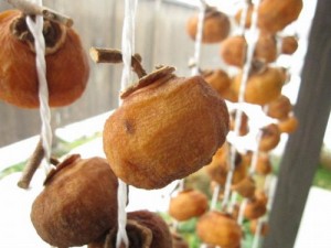 『干し柿作り体験教室』レポート