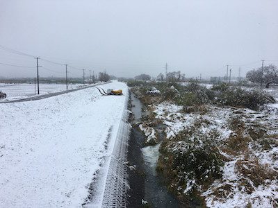 平成29年度第4回河川清掃