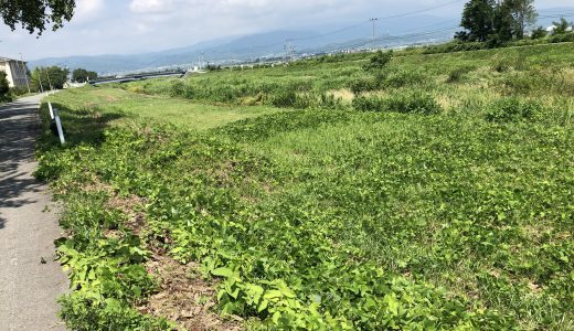 2019年　第3回河川清掃