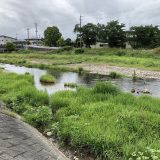 2019年　第2回河川清掃＆水質調査報告