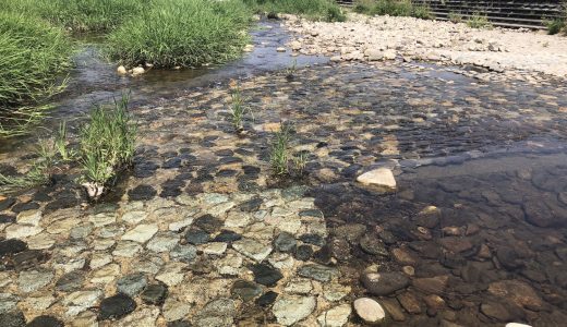令和3年　第1回河川清掃＆水質調査の報告