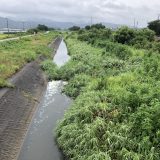 令和5年　第3回河川清掃の報告