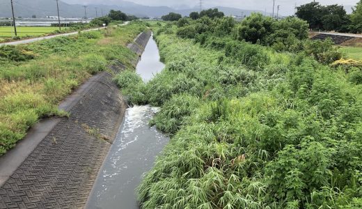 令和5年　第3回河川清掃の報告