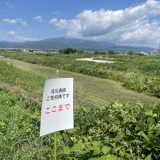 令和7年度　第1回河川清掃の報告